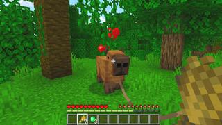 Screenshot of the Minecraft Bedrock Marketplace product Pets Pack created by Dodo Studios.