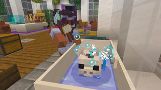 Screenshot of the Minecraft Bedrock Marketplace product Pets Pack created by Dodo Studios.