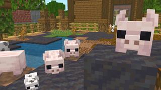Screenshot of the Minecraft Bedrock Marketplace product PETS! created by Dodo Studios.
