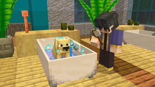 Screenshot of the Minecraft Bedrock Marketplace product PETS! created by Dodo Studios.