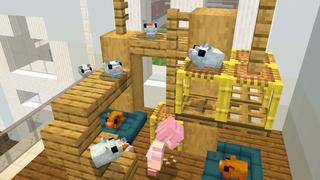 Screenshot of the Minecraft Bedrock Marketplace product PETS! created by Dodo Studios.