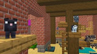 Screenshot of the Minecraft Bedrock Marketplace product PETS! created by Dodo Studios.