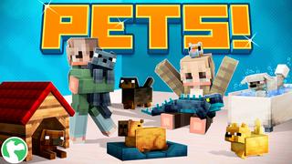Thumbnail of the Minecraft Bedrock Marketplace product PETS! created by Dodo Studios.
