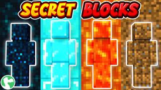 Thumbnail of the Minecraft Bedrock Marketplace product Secret Blocks created by Dodo Studios.