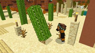 Screenshot of the Minecraft Bedrock Marketplace product Secret Cactus Base created by Dodo Studios.