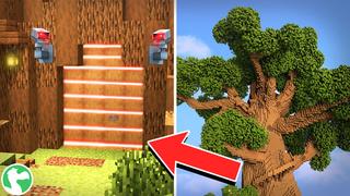 Thumbnail of the Minecraft Bedrock Marketplace product Base secrète de la maison de l'arbre created by Dodo Studios.