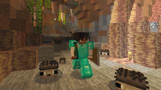 Screenshot of the Minecraft Bedrock Marketplace product Skyblock Pets created by Dodo Studios.