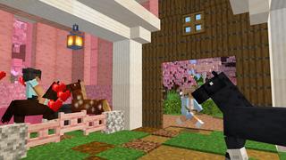 Screenshot of the Minecraft Bedrock Marketplace product Super Cute House created by Dodo Studios.