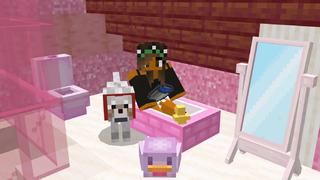 Screenshot of the Minecraft Bedrock Marketplace product Super Cute House created by Dodo Studios.