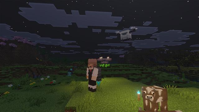Screenshot of the Minecraft Bedrock Marketplace product Agents+ created by DogHouse.