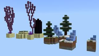 Screenshot of the Minecraft Bedrock Marketplace product Classic Skyblock created by DogHouse.