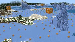 Screenshot of the Minecraft Bedrock Marketplace product World Of Lucky Block created by DogHouse.