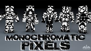 Thumbnail of the Minecraft Bedrock Marketplace product Monochromatic Pixels created by Dragnoz.