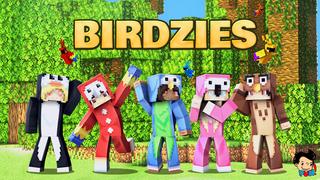 Thumbnail of the Minecraft Bedrock Marketplace product Birdzies created by Duh.