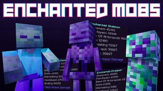 Thumbnail of the Minecraft Bedrock Marketplace product Enchanted Mobs created by Duh.