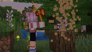 Screenshot of the Minecraft Bedrock Marketplace product Lava Tools created by Duh.