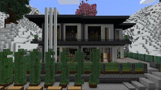 Screenshot of the Minecraft Bedrock Marketplace product Snow Mansion created by Eco Studios.