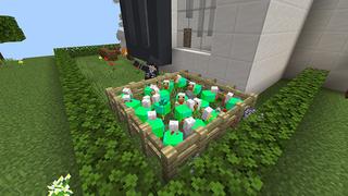 Screenshot of the Minecraft Bedrock Marketplace product Millionaire RGB Chicken created by Eescal Studios.