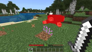 Screenshot of the Minecraft Bedrock Marketplace product Mobs Drop Random Loot created by Eescal Studios.