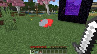 Screenshot of the Minecraft Bedrock Marketplace product Mobs Drop Random Loot created by Eescal Studios.