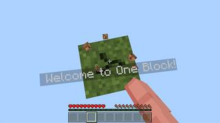Screenshot of the Minecraft Bedrock Marketplace product One Block created by Eescal Studios.