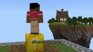 Screenshot of the Minecraft Bedrock Marketplace product OneBlock Elements created by Eescal Studios.