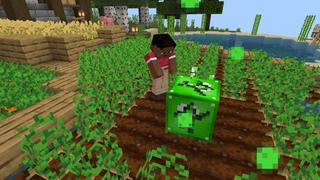 Screenshot of the Minecraft Bedrock Marketplace product OneBlock Elements created by Eescal Studios.