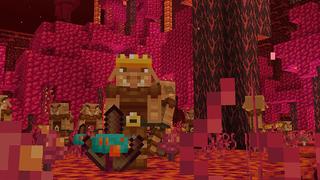 Screenshot of the Minecraft Bedrock Marketplace product Safari Texture Pack created by Eescal Studios.