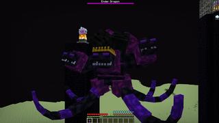 Screenshot of the Minecraft Bedrock Marketplace product Wither Evolve created by Eescal Studios.