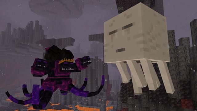 Screenshot of the Minecraft Bedrock Marketplace product Wither Evolve created by Eescal Studios.
