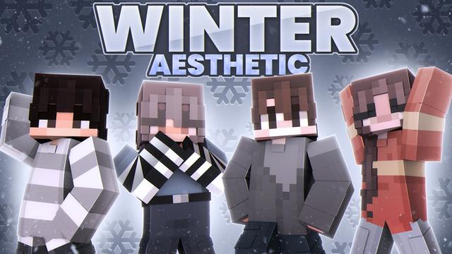 Thumbnail of the Minecraft Bedrock Marketplace product Winter Aesthetic created by Endorah.