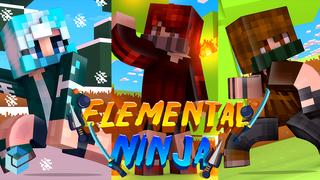 Thumbnail of the Minecraft Bedrock Marketplace product Elemental Ninjas created by Entity Builds.