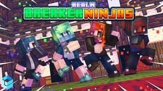 Thumbnail of the Minecraft Bedrock Marketplace product Realm Breaker Ninjas created by Entity Builds.
