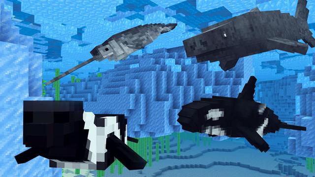 Screenshot of the Minecraft Bedrock Marketplace product Arctic Wildlife Explorers created by Everbloom Games.