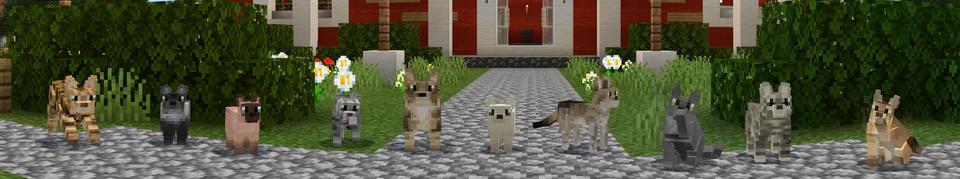 Panorama of the Minecraft Bedrock Marketplace product Pets: Cats created by Everbloom Games.