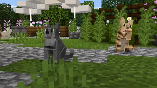 Screenshot of the Minecraft Bedrock Marketplace product Pets: Cats created by Everbloom Games.