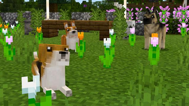 Screenshot of the Minecraft Bedrock Marketplace product Pets: Dogs created by Everbloom Games.