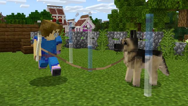Screenshot of the Minecraft Bedrock Marketplace product Pets: Dogs created by Everbloom Games.