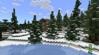 Screenshot of the Minecraft Bedrock Marketplace product Advanced: Snowy Taiga created by Fall Studios.