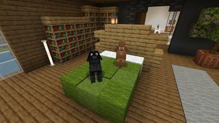 Screenshot of the Minecraft Bedrock Marketplace product Dogs Mansion created by Fall Studios.