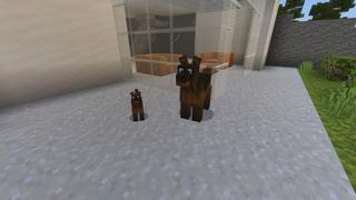 Screenshot of the Minecraft Bedrock Marketplace product Dogs Mansion created by Fall Studios.