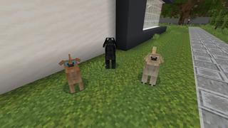 Screenshot of the Minecraft Bedrock Marketplace product Dogs Mansion created by Fall Studios.