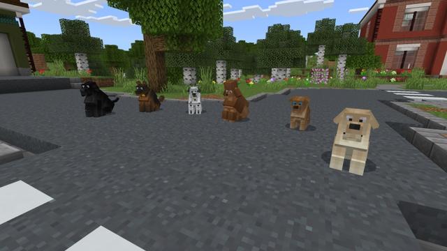 Screenshot of the Minecraft Bedrock Marketplace product Dogs created by Fall Studios.