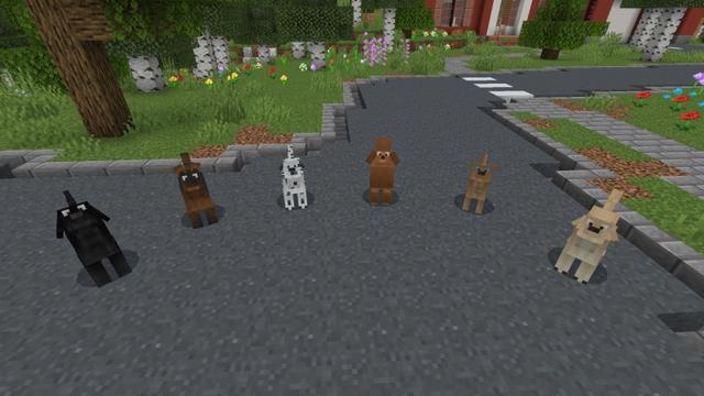 Screenshot of the Minecraft Bedrock Marketplace product Dogs created by Fall Studios.