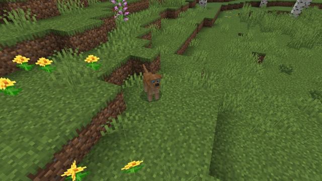Screenshot of the Minecraft Bedrock Marketplace product Dogs created by Fall Studios.
