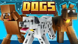 Thumbnail of the Minecraft Bedrock Marketplace product Perros created by Fall Studios.