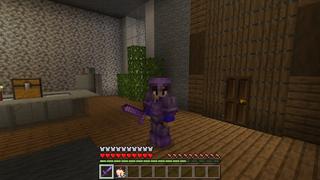 Screenshot of the Minecraft Bedrock Marketplace product Hacker Base created by Fall Studios.