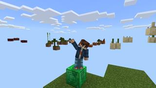 Screenshot of the Minecraft Bedrock Marketplace product One Block created by Fall Studios.