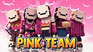 Thumbnail of the Minecraft Bedrock Marketplace product Pink Team created by Fall Studios.