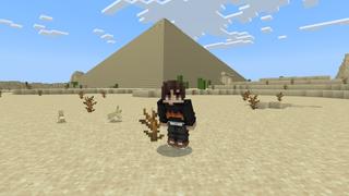 Screenshot of the Minecraft Bedrock Marketplace product Pyramid Base created by Fall Studios.